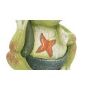 Wichtelstube-Kollektion XXL LED Gartenfigur ca. 58cm groß Frosch Deko Vogeltränke solar Willkommen Schriftzug Gartendeko stehend frostsicher für Garten Balkon