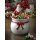 Wichtelstube-Kollektion Süßigkeiten Schale mit Weihnachtsmann Candy Bowl Weihnachten Deko